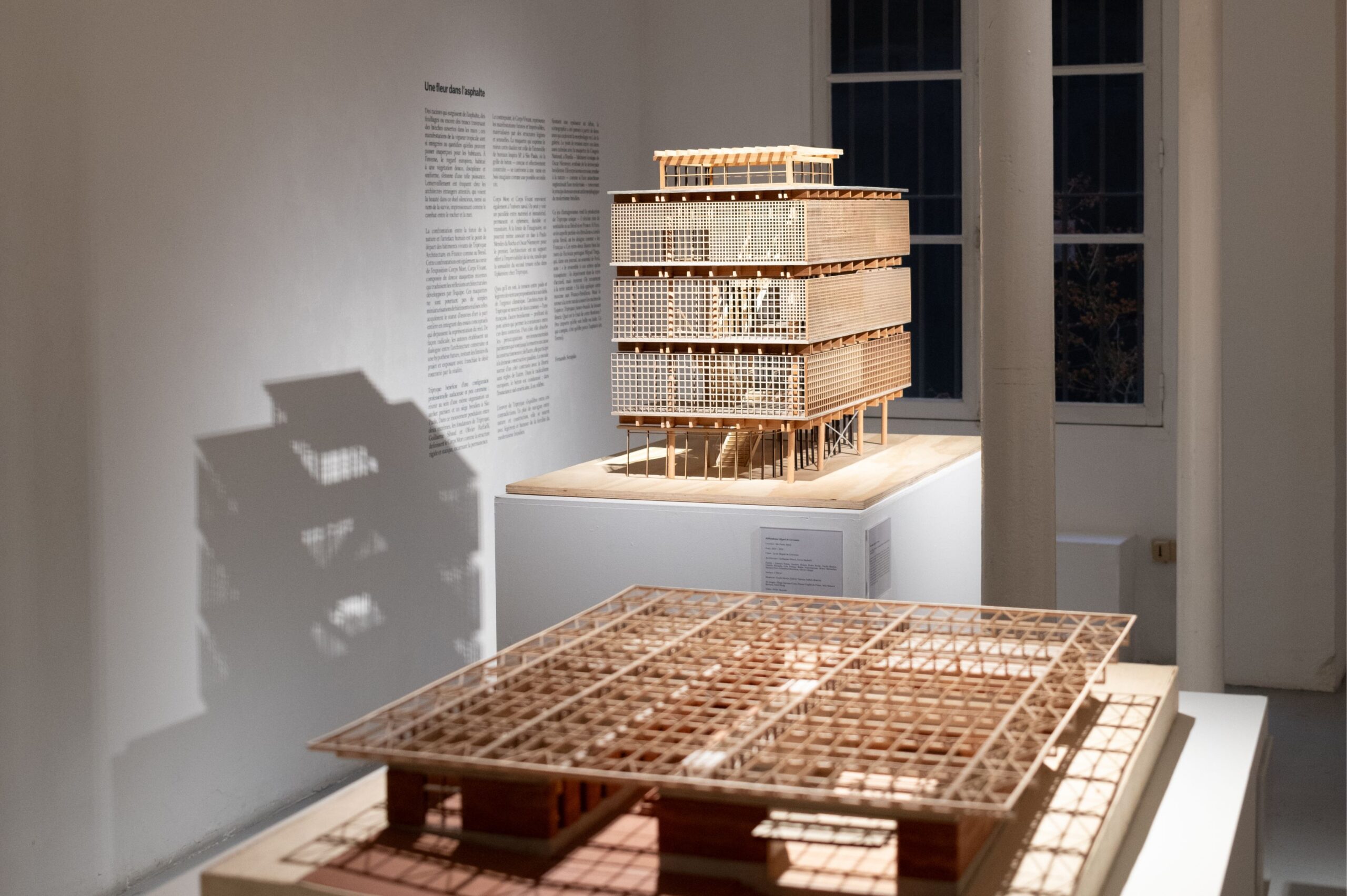 triptyque-architecture-corps-mort-corps-vivant-exhibition-in-paris- (10)