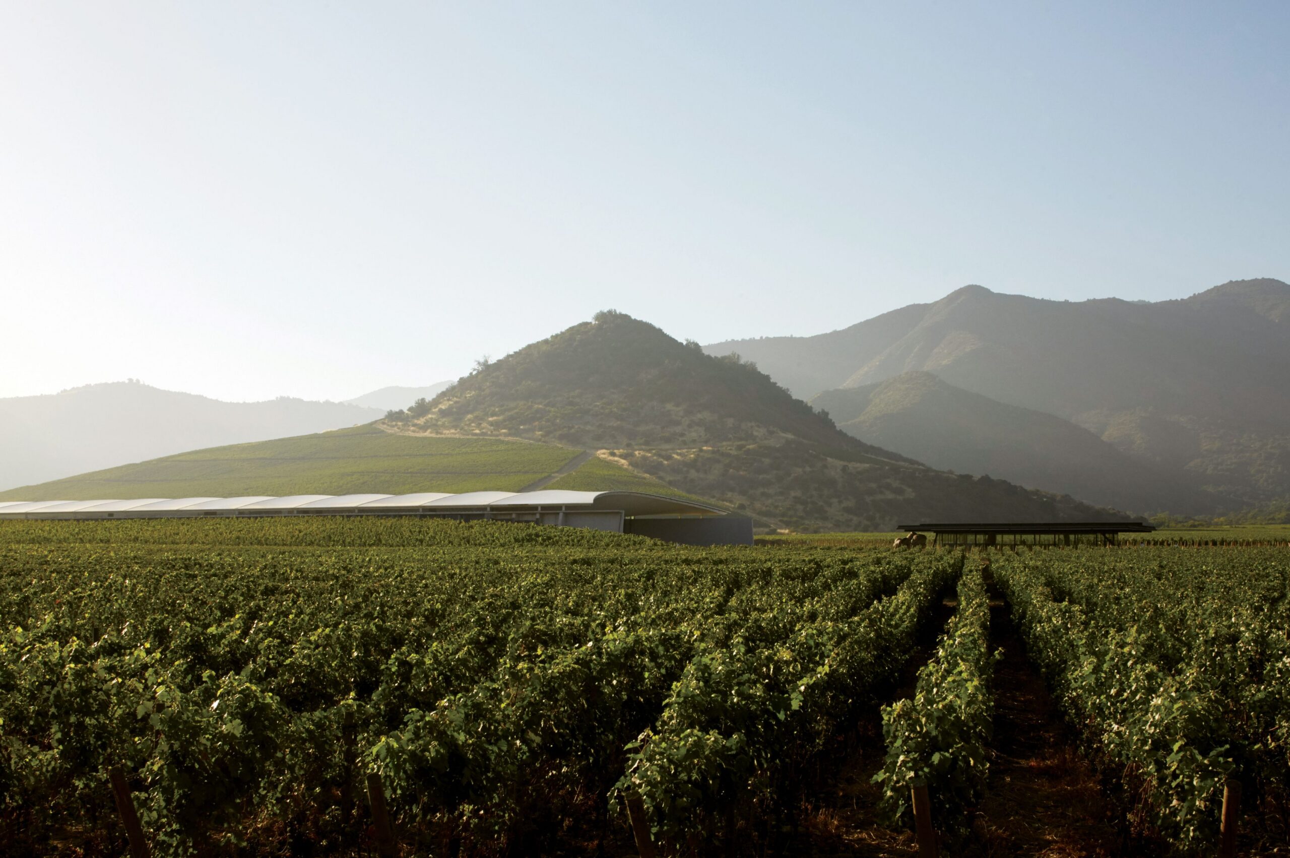 Vik Winery_1_Cristobal Palma