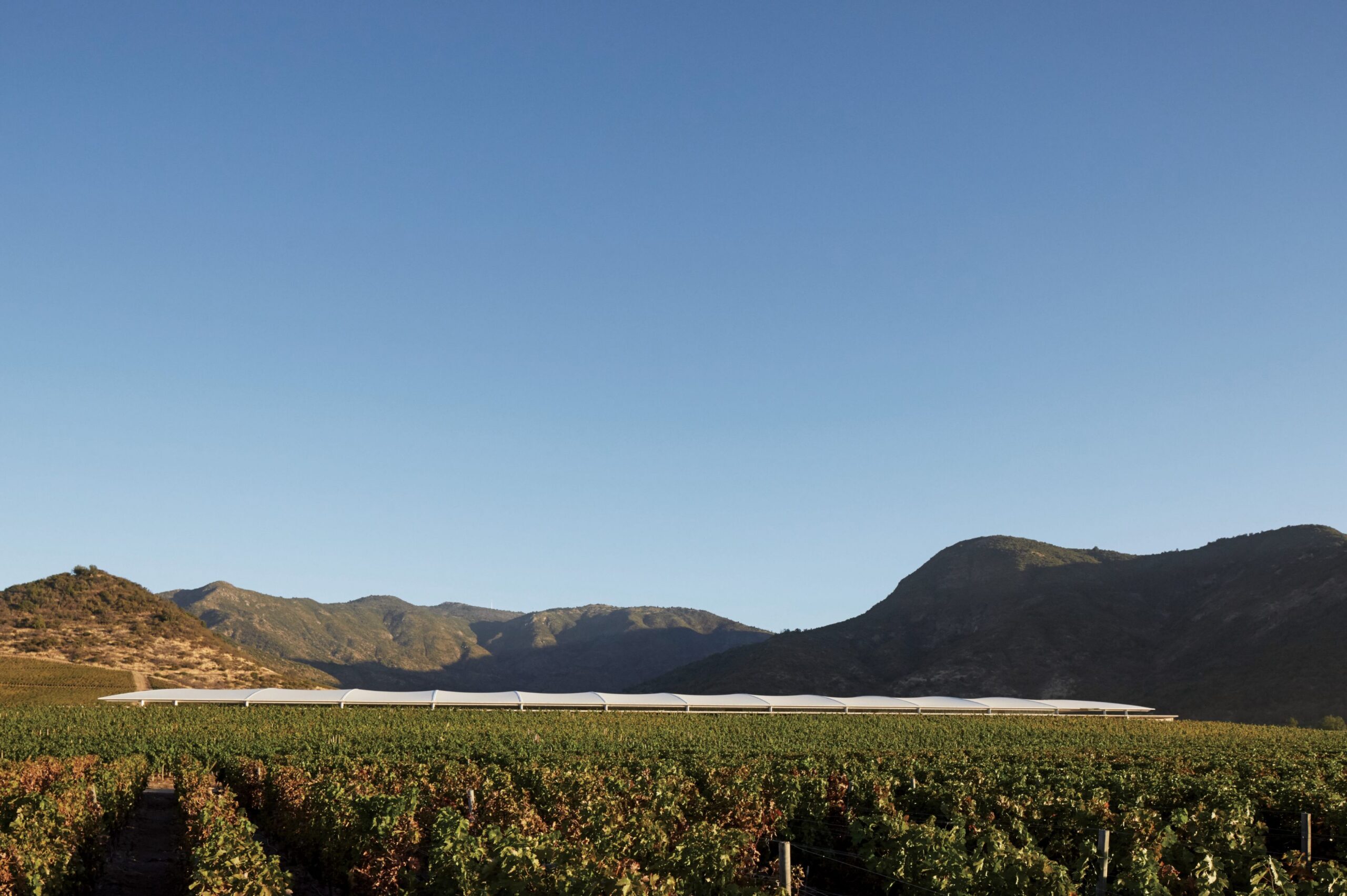 Vik Winery_2_Cristobal Palma